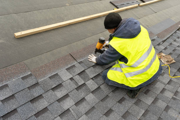 Best Roof Moss and Algae Removal  in Forest Ranch, CA