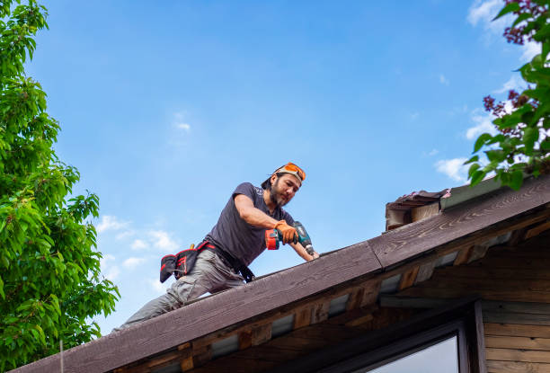 Best Hot Roofs  in Forest Ranch, CA
