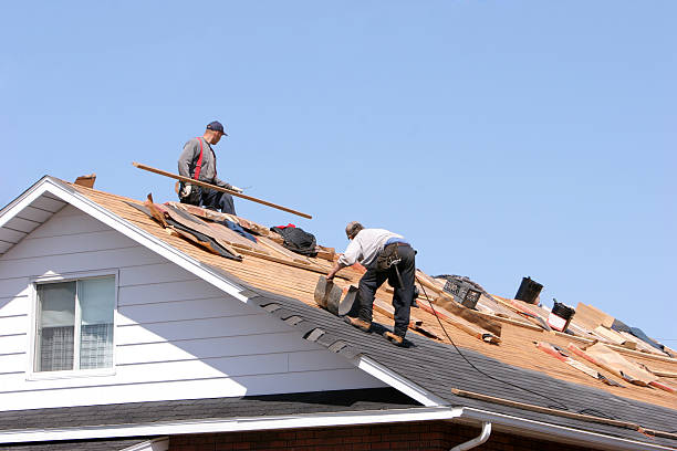 Best Solar Panel Roofing Installation  in Forest Ranch, CA